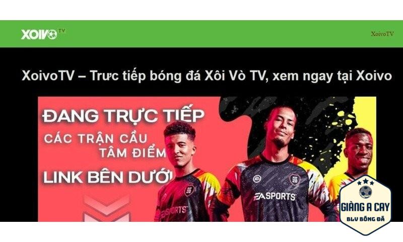 Giao diện Xoivo TV đơn giản, dễ dùng