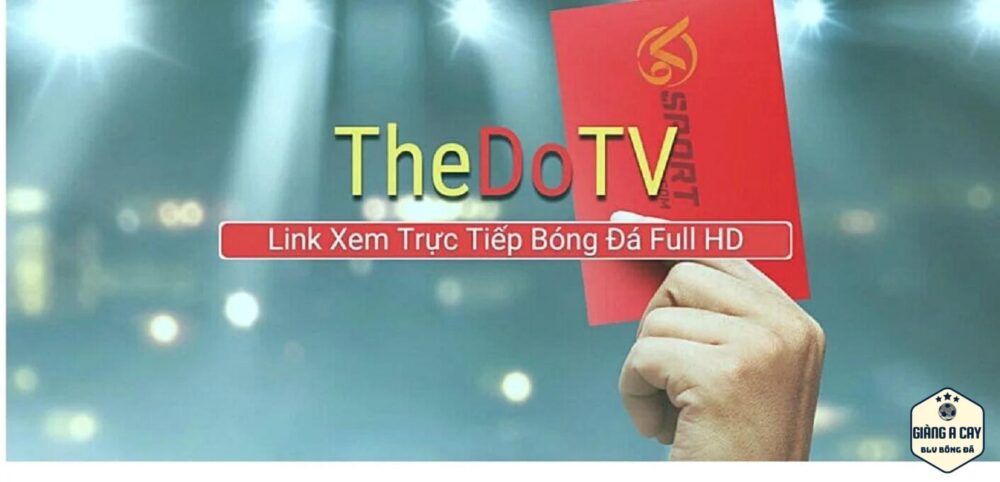 Giới thiệu thông tin sơ lược về Thedo TV
