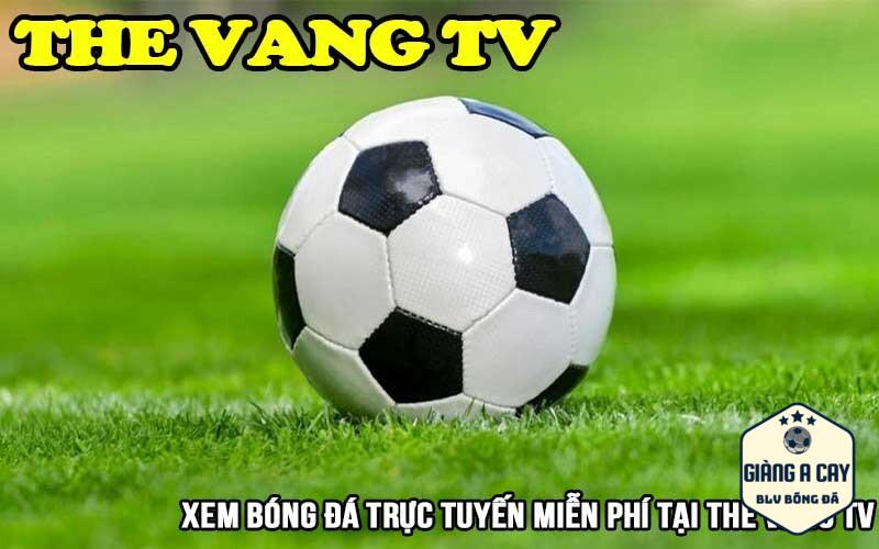 Live bóng đá ở ThevangTV xem không mất tiền