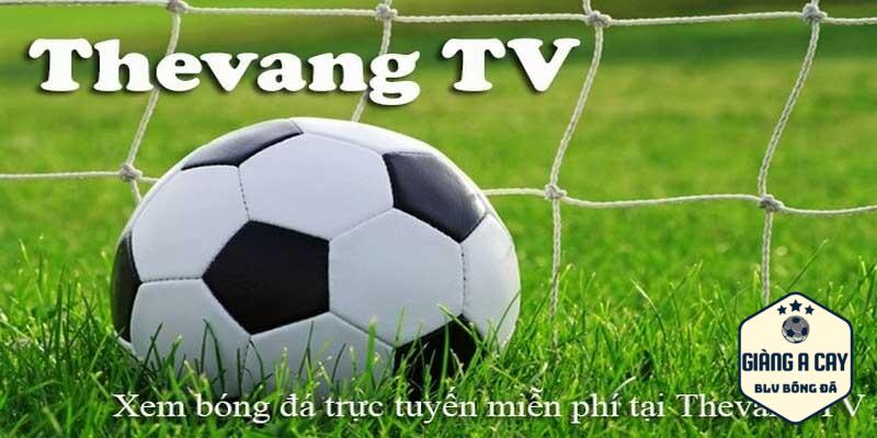 Thevang TV - kênh xem live bóng đá hàng đầu