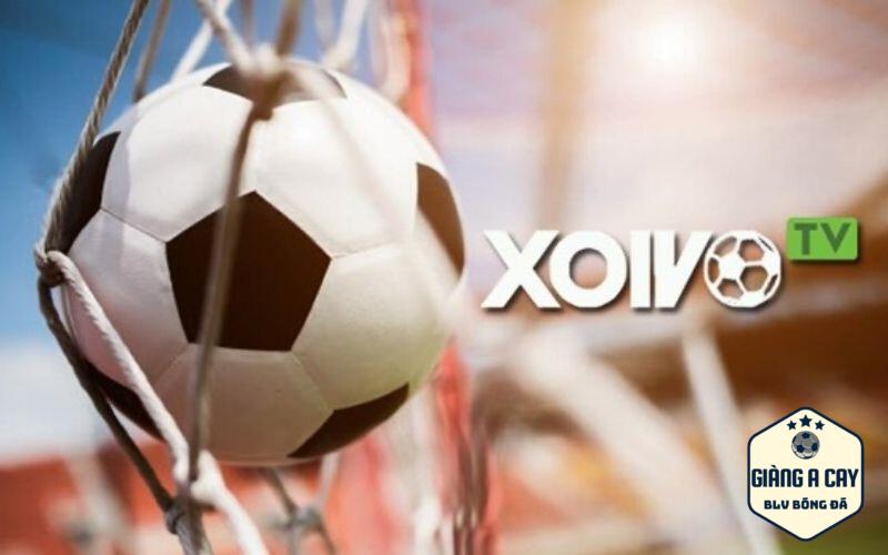 Xoivo TV tổng hợp tất cả các nguồn link phát sóng trực tiếp bóng đá chất lượng cao