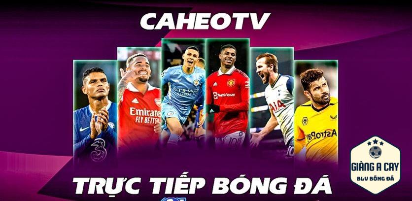 Caheo TV đặt mục tiêu trở thành trang web live bóng đá số 1