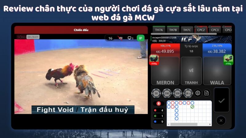 Review chân thực của người chơi đá gà cựa sắt lâu năm tại web đá gà MCW