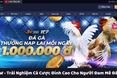 MCW – Trải Nghiệm Cá Cược Đỉnh Cao Cho Người Đam Mê Đá Gà